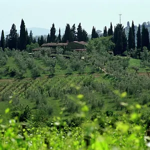 Fattoria Casa Sola Casa di campagna