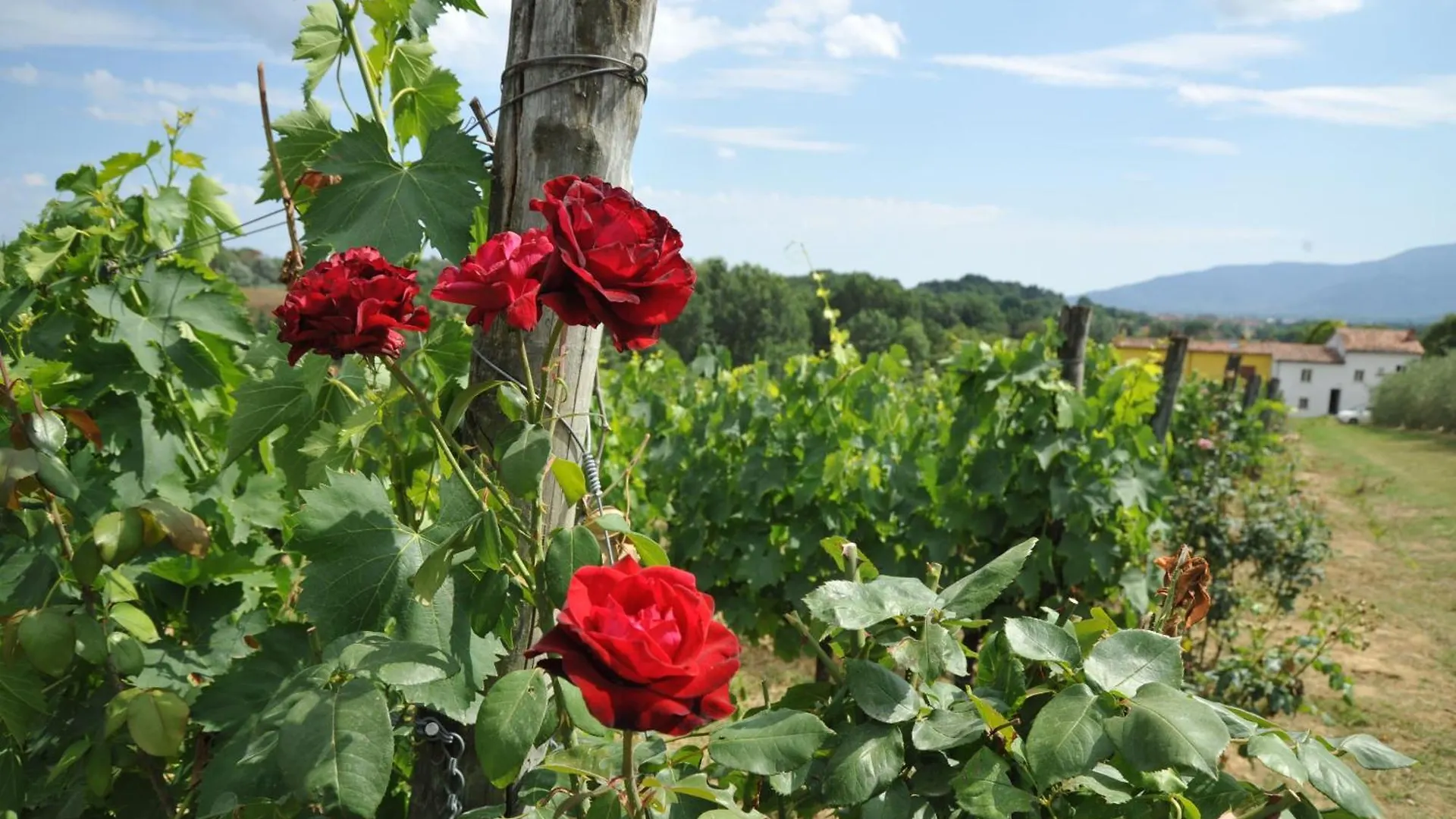 Agriturismo Corte Benedetto Montecarlo